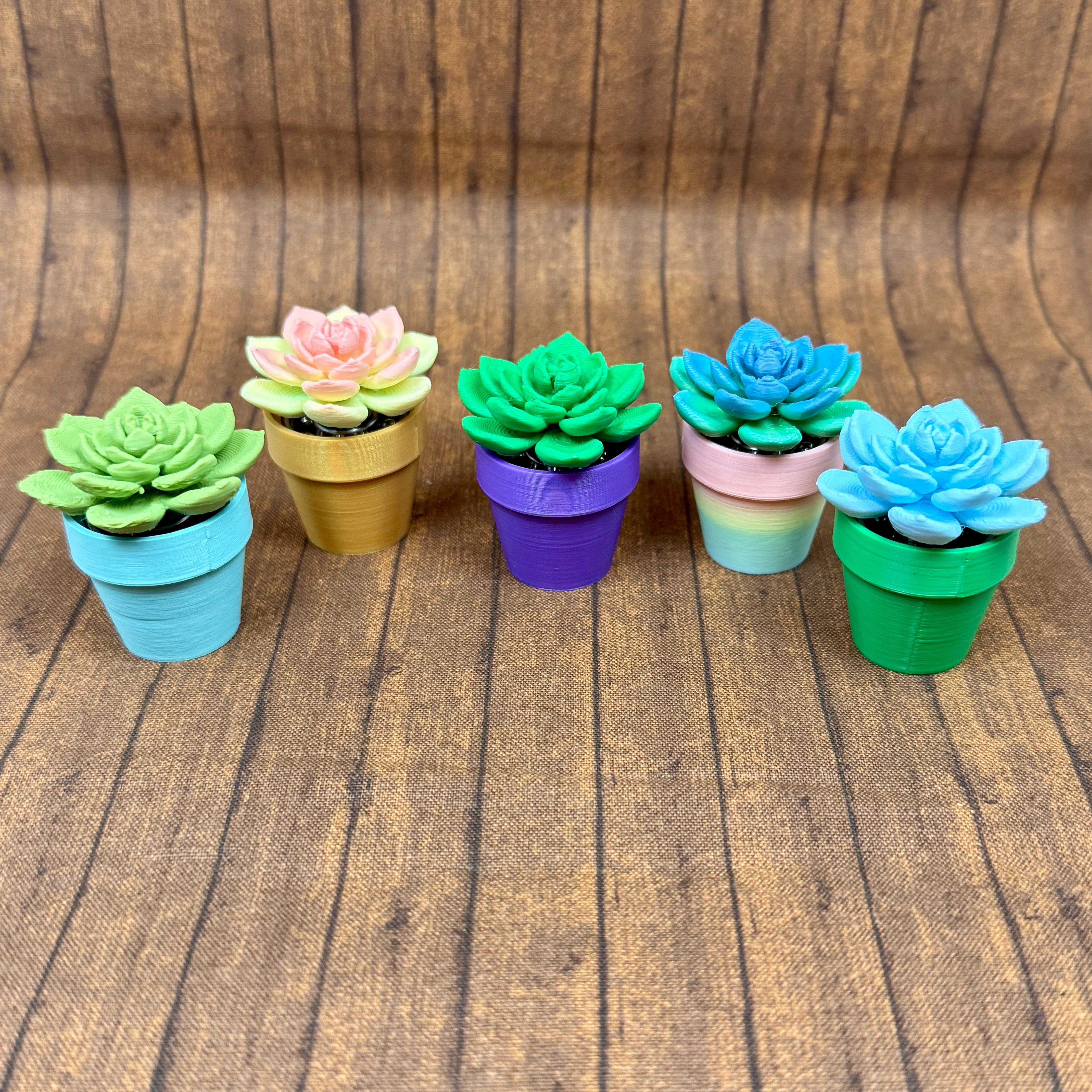 succulent color wheel Echeveria - Succulent Plant - Fidget Spinner