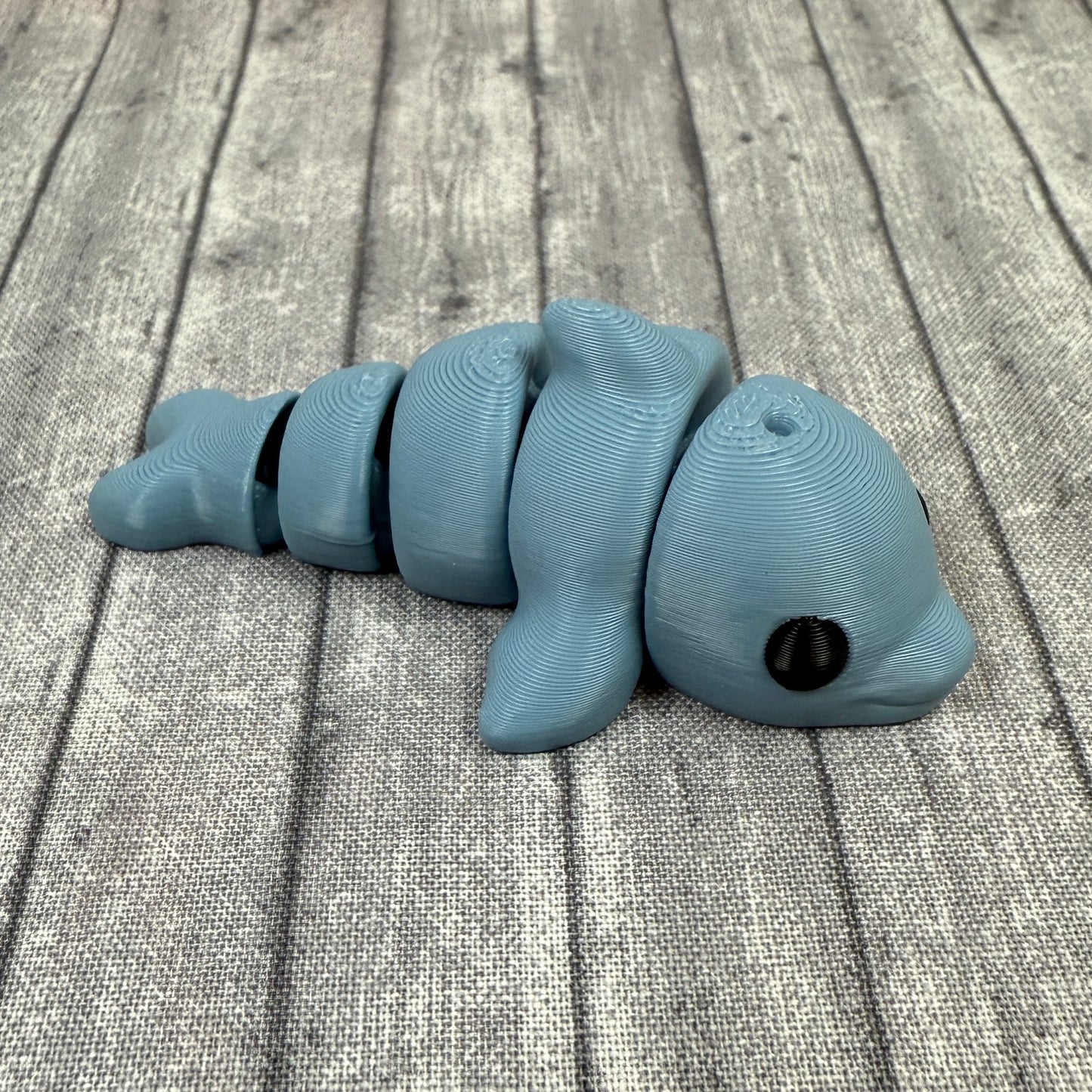 Deigo Blue Dolphin Fidget