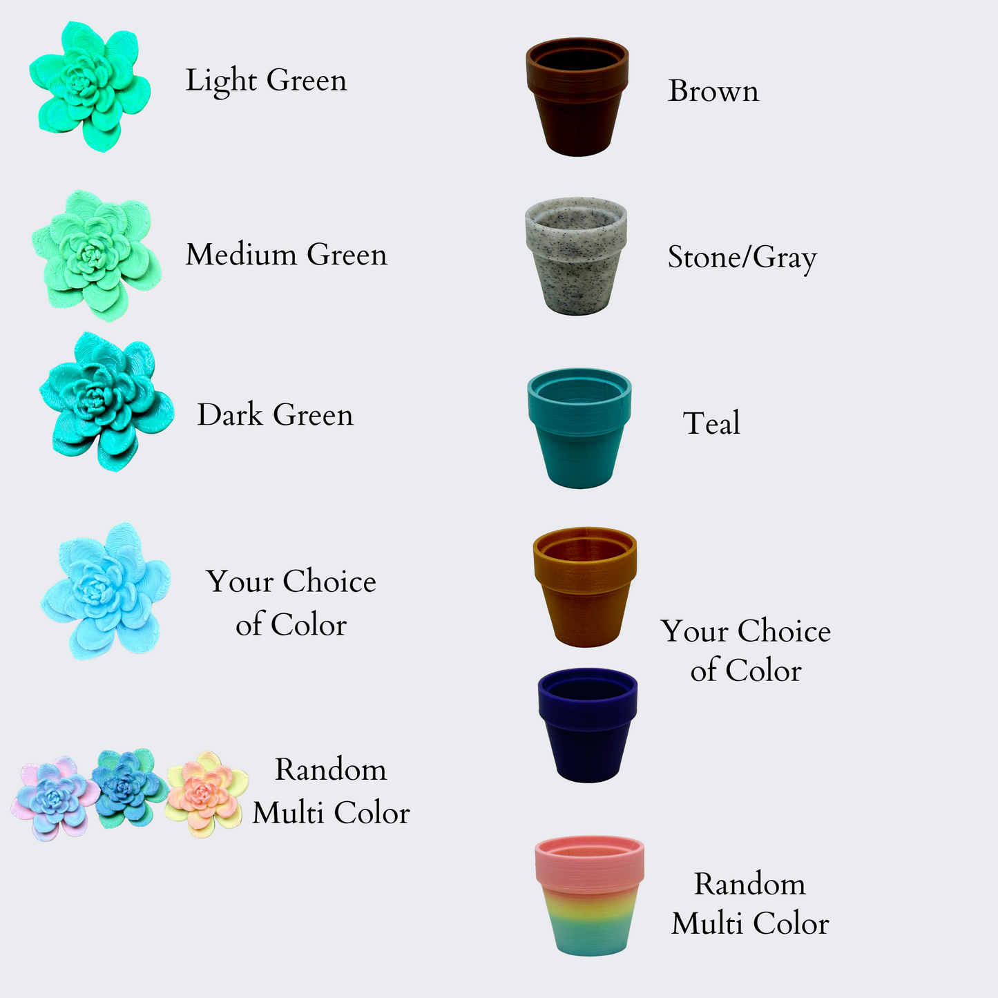 Echeveria - Succulent Plant - Fidget Spinner - Mix and Match Colors