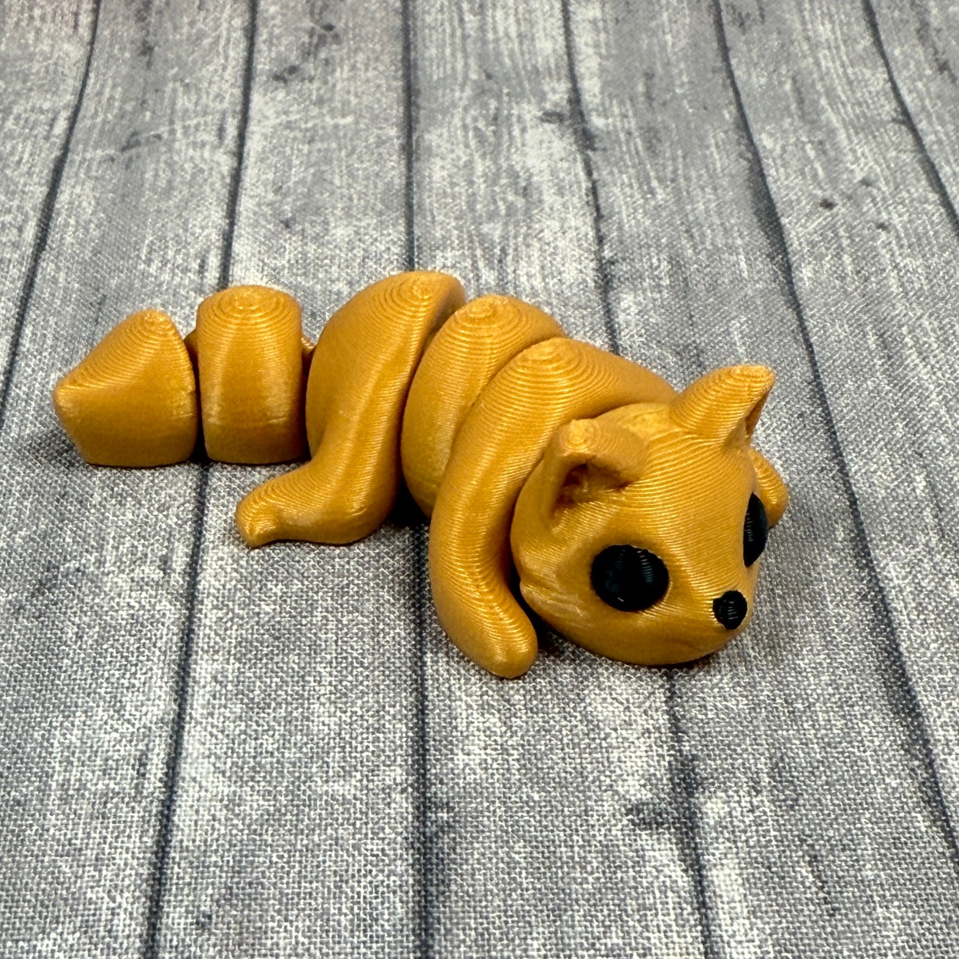 Finn Gold Fox Front Top Side One