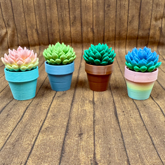 Sempervivum - Succulent Plant - Fidget Spinner - Mix and Match Colors