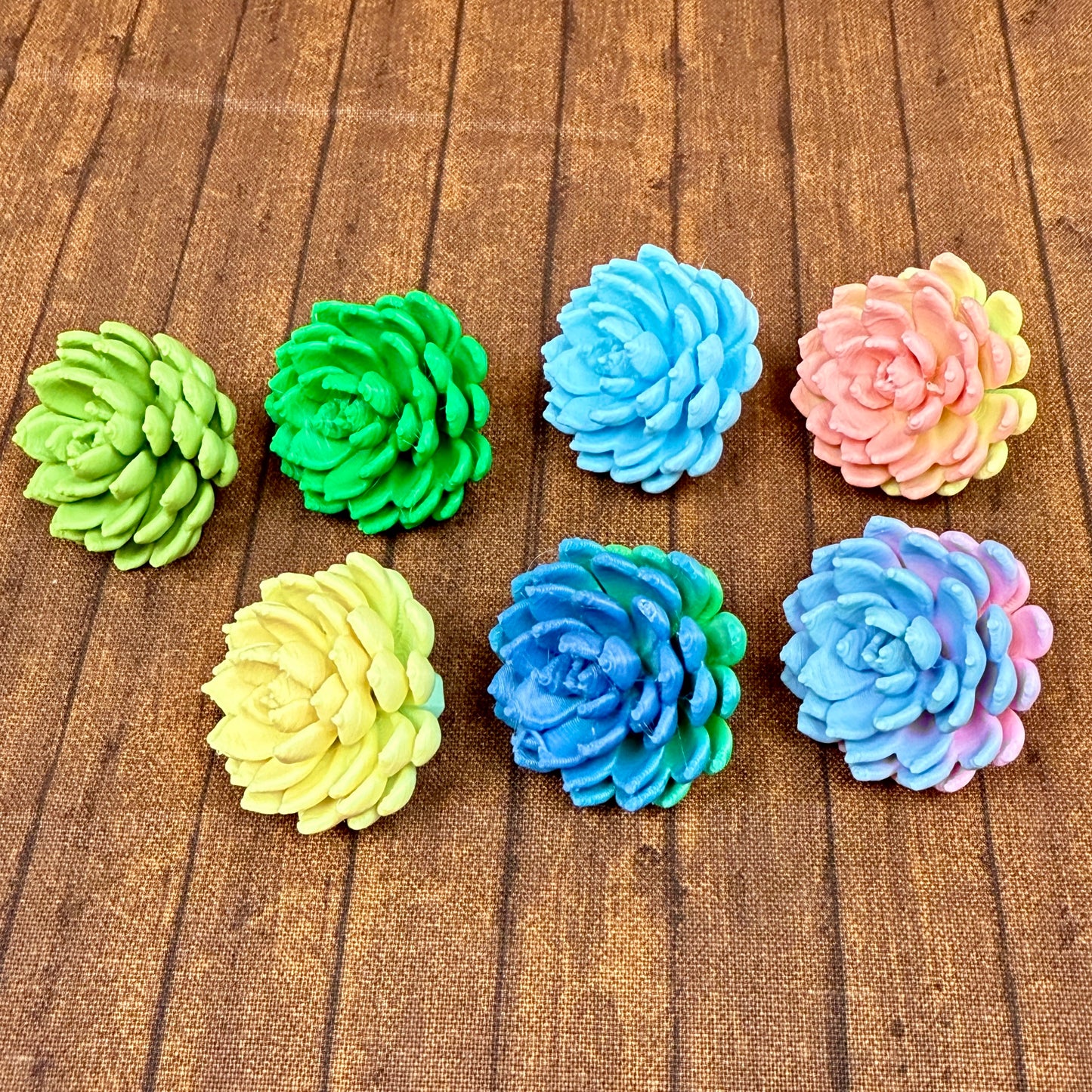 Sempervivum - Succulent Plant - Fidget Spinner - Mix and Match Colors