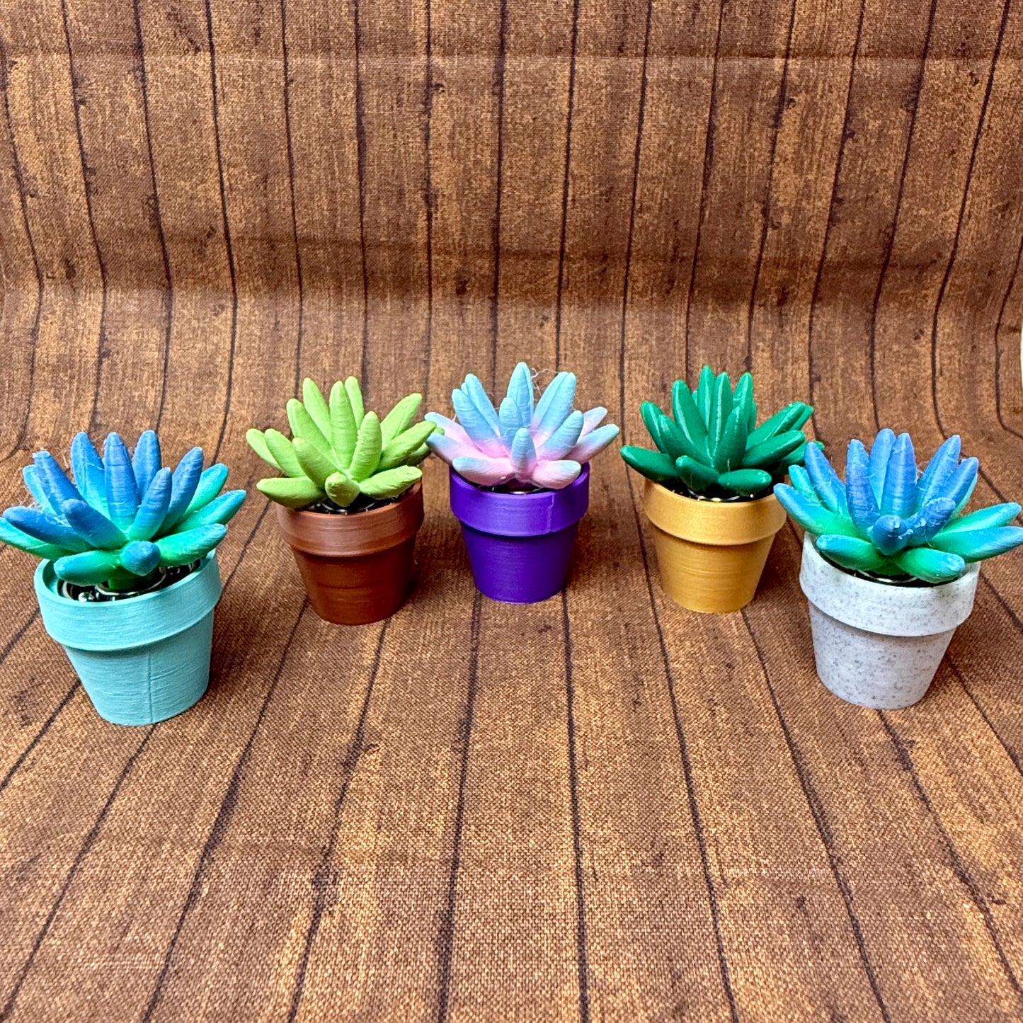 sculpey succulents Pachyphytum - Succulent Plant - Fidget Spinner