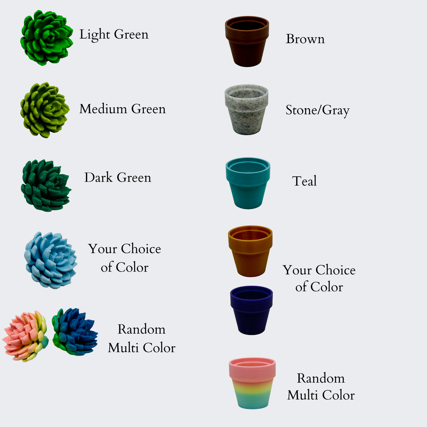 Sempervivum - Succulent Plant - Fidget Spinner - Mix and Match Colors