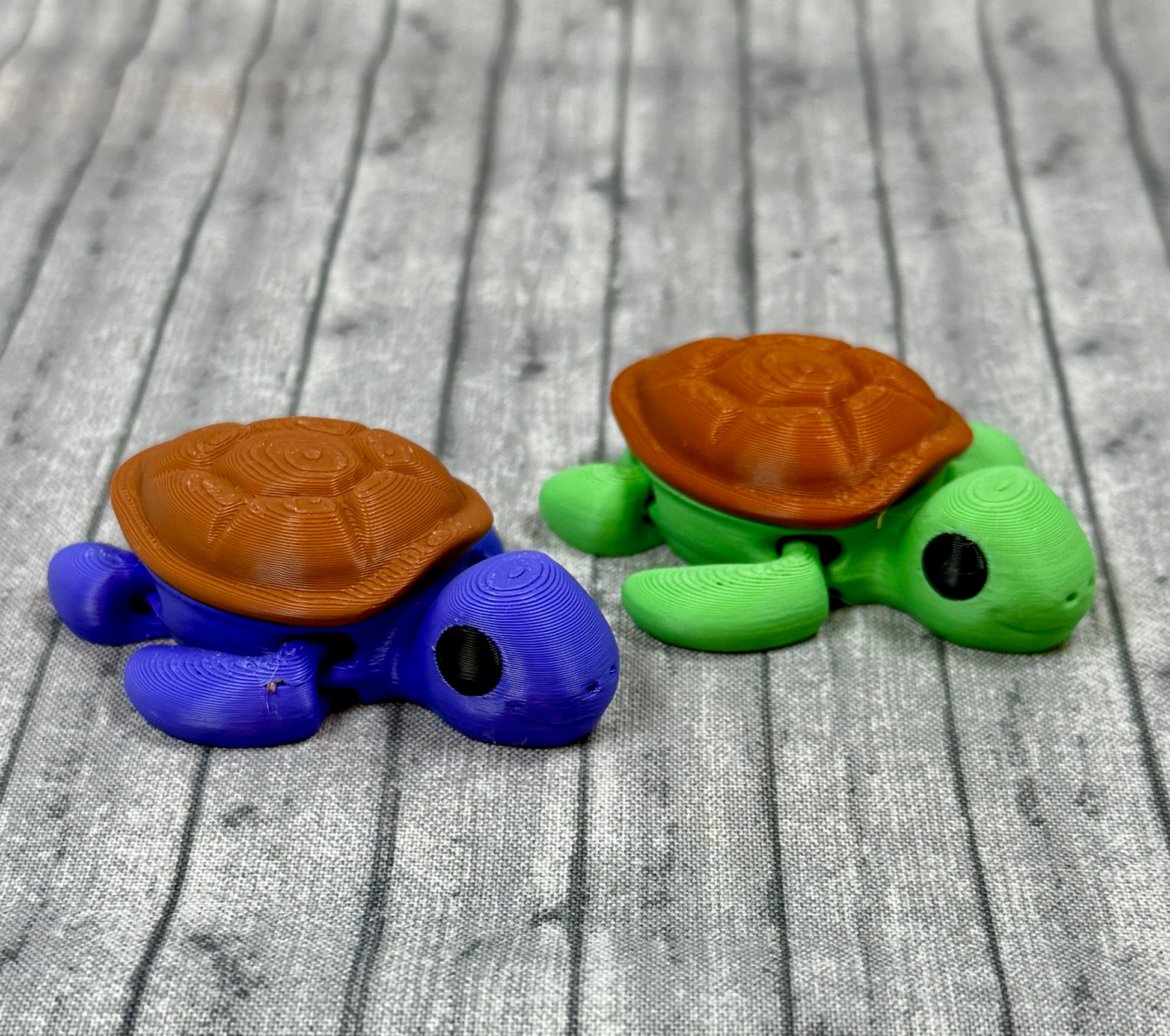 Tony and Tim Turtle